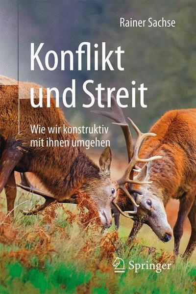 Cover for Rainer Sachse · Konflikt und Streit: Wie wir konstruktiv mit ihnen umgehen (Pocketbok) (2016)