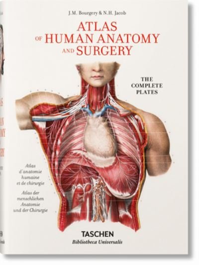 Cover for Jean-Marie Le Minor · Jean Marc Bourgery. Atlas de anatomía humana y cirugía (Hardcover Book) [Italian, Spanish &amp; Portuguese edition] (2015)