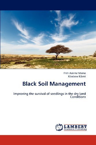 Cover for Kibebew Kibret · Black Soil Management: Improving the Survival of Seedlings in the Dry Land Conditions (Paperback Book) (2012)