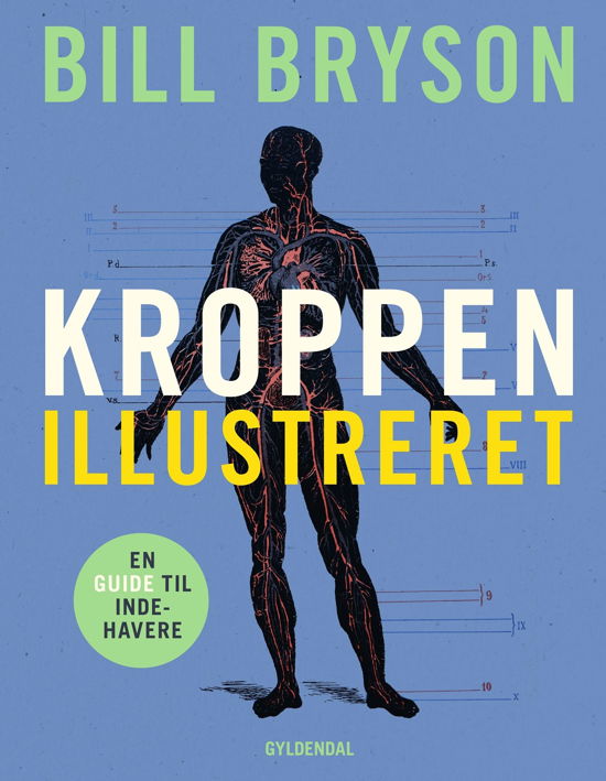 Cover for Bill Bryson · Kroppen (Bound Book) [2nd edition] (2022)