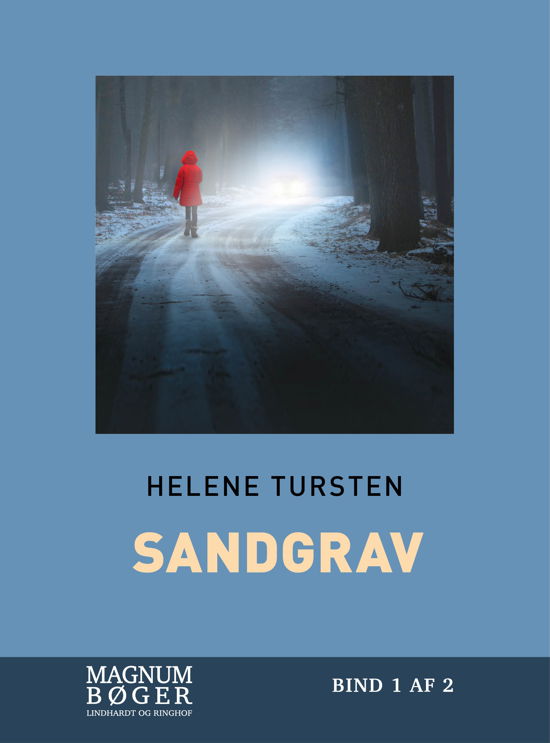 Cover for Helene Tursten · Embla Nyström: Sandgrav (storskrift) (Bound Book) [1st edition] (2017)