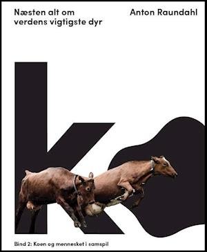Cover for Anton Raundahl · Ko – næsten alt om verdens vigtigste dyr (Gebundenes Buch) (2021)