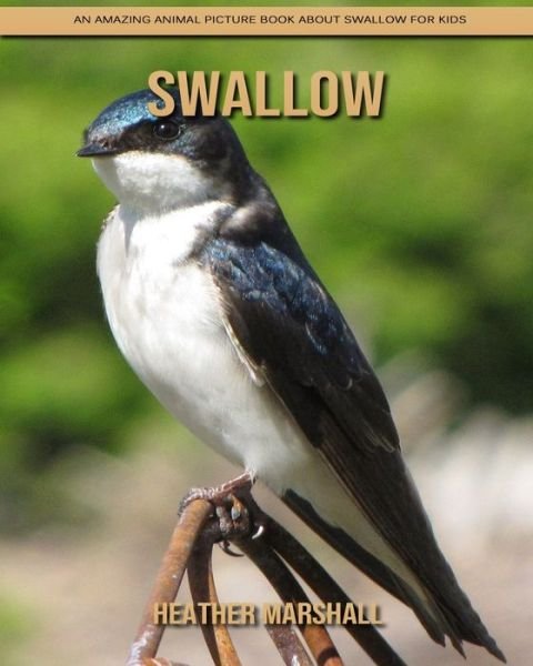 Cover for Heather Marshall · Swallow: An Amazing Animal Picture Book about Swallow for Kids (Paperback Book) (2021)