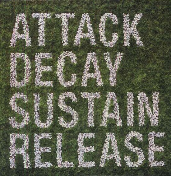Attack Decay Sustain - Simian Mobile Disco - Musik - INTERSCOPE RECORDS - 0602517457638 - 10. september 2007