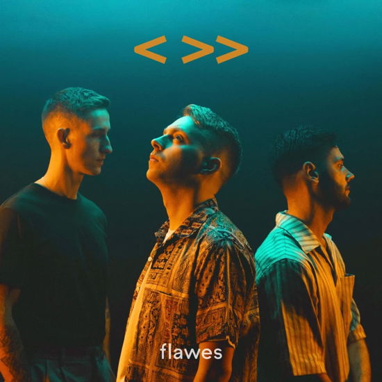 Flawes · One Step Back, Two Steps Forward (LP) (2023)