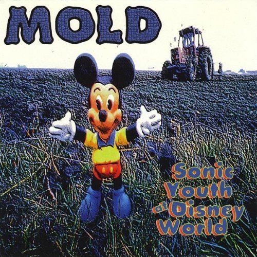 Cover for Mold · Sonic Youth at Disney World (CD) (2009)