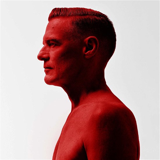 Cover for Bryan Adams · Shine a Light (CD) [Japan Import edition] (2019)
