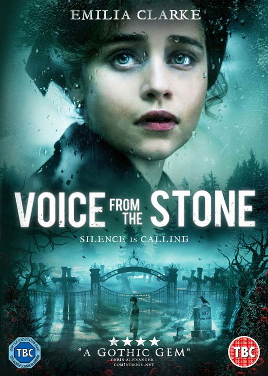 Voice From The Stone - Movie - Filme - Precision Pictures - 5060262855638 - 28. August 2017