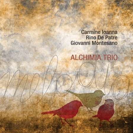Cover for Alchimia Trio · Melodia (CD) (2019)