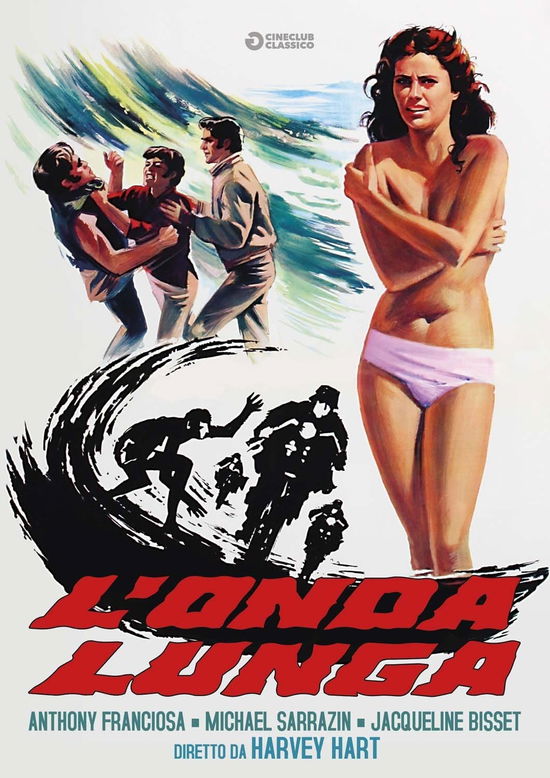 Cover for Onda Lunga (L') (DVD) [size L] (2017)