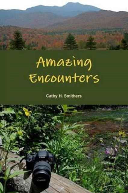 Cover for Cathy H. Smithers · Amazing Encounters (Paperback Book) (2016)