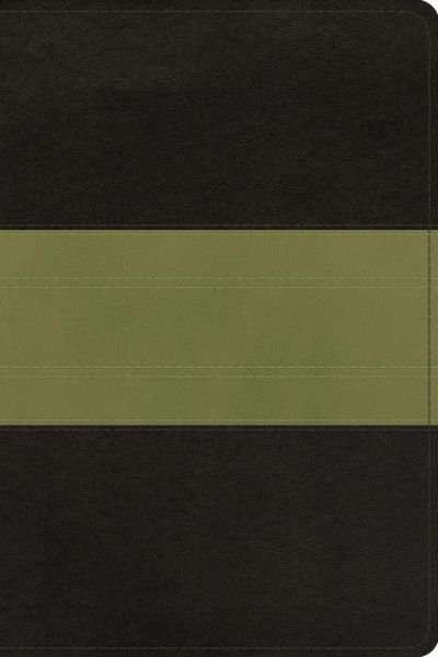 Cover for Crossway Bibles · Esv Study Bible Personal Size  Char (N/A) [Charcoal/Sage Imitation] (2015)