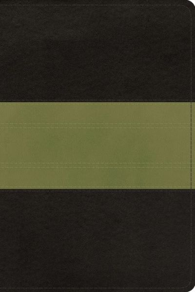 Cover for Crossway Bibles · Esv Study Bible Personal Size  Char (N/A) [Charcoal/Sage Imitation] (2015)