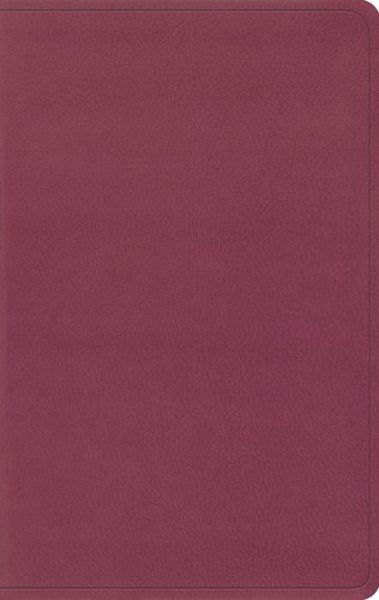 Cover for Crossway Bibles · Esv Value Thinline Bible (TruTone (N/A) [Pink Imitation] (2015)