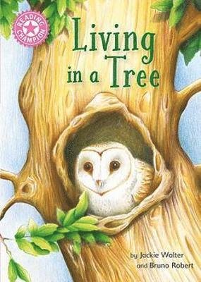 Cover for Jackie Walter · Reading Champion: Living in a Tree: Independent Reading Non-Fiction Pink 1a - Reading Champion (Pocketbok) (2022)