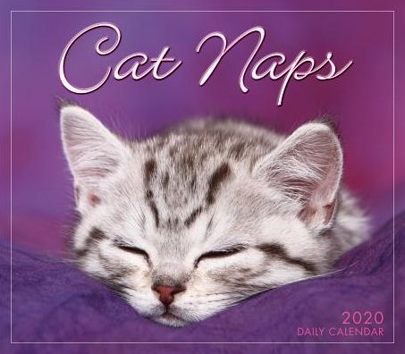 Cover for Sellers Publishing · Cat Naps 2019 Day-to-Day Calendar (Calendar) (2019)