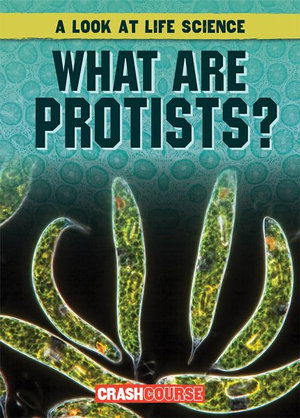 Cover for Kate Mikoley · What Are Protists? (Paperback Book) (2019)