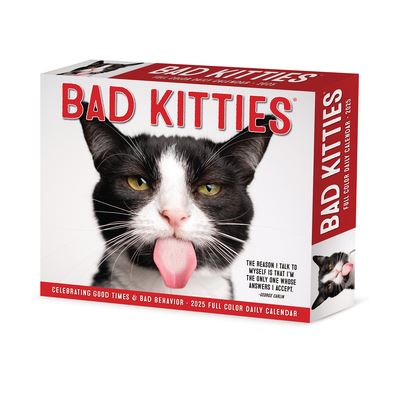 Willow Creek Press · Bad Kitties 2025 6.2 X 5.4 Box Calendar (Calendar) (2024)