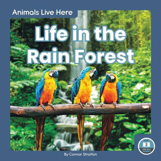 Cover for Connor Stratton · Life in the Rain Forest - Animals Live Here (Paperback Book) (2020)