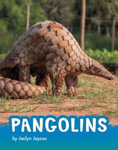 Cover for Jaclyn Jaycox · Pangolins (N/A) (2022)