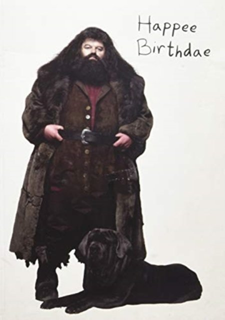 Cover for Insight Editions · Harry Potter: Hagrid's Cake Pop-Up Card (Flashcards) (2018)