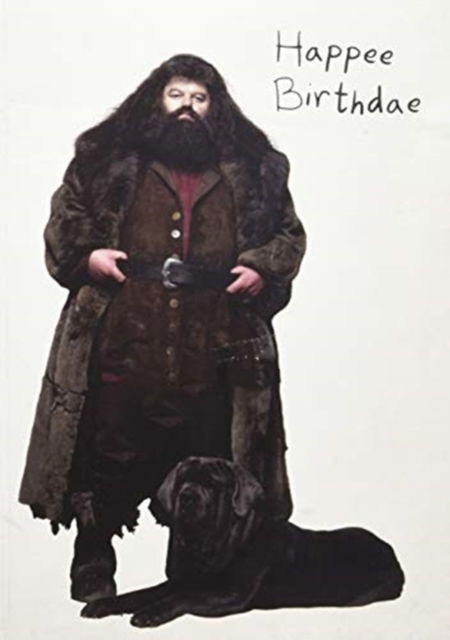Harry Potter: Hagrid's Cake Pop-Up Card - Insight Editions - Books - Insight Editions - 9781682983638 - November 8, 2018