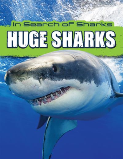 Cover for David Thompson · Huge Sharks (Paperback Book) (2021)