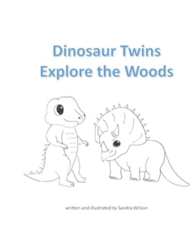 Cover for Sandra Wilson · Dinosaur Twins Explore the Woods (Paperback Bog) (2021)