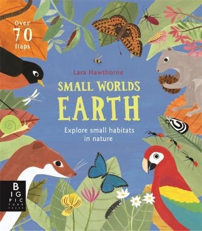Cover for Camilla De La Bedoyere · Small Worlds: Earth - Small Worlds (Board book) (2020)
