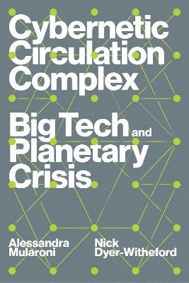 Cover for Nick Dyer-Witheford · Cybernetic Circulation Complex: Big Tech and Planetary Crisis (Paperback Book) (2025)