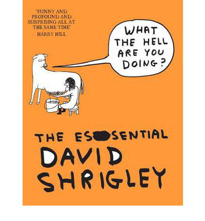 What The Hell Are You Doing?: The Essential David Shrigley - David Shrigley - Boeken - Canongate Books - 9781847678638 - 16 februari 2012