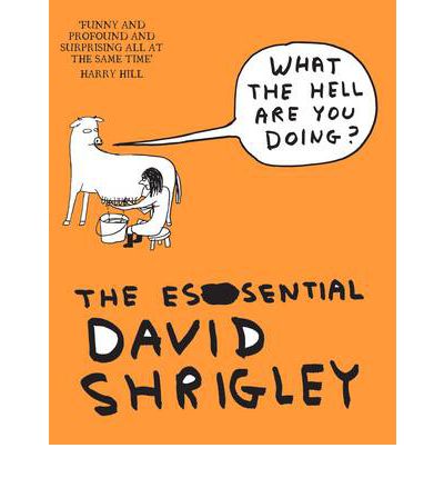 What The Hell Are You Doing?: The Essential David Shrigley - David Shrigley - Bøker - Canongate Books - 9781847678638 - 16. februar 2012