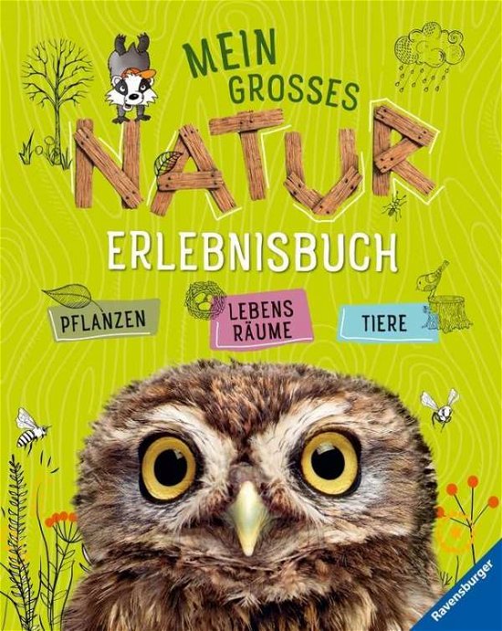 Cover for Lenz · Mein großes Natur-Erlebnisbuch (Book)