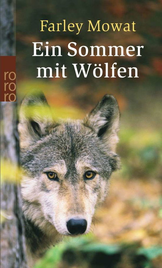 Roro Tb.23763 Mowat.sommer Mit Wölfen - Farley Mowat - Books -  - 9783499237638 - 