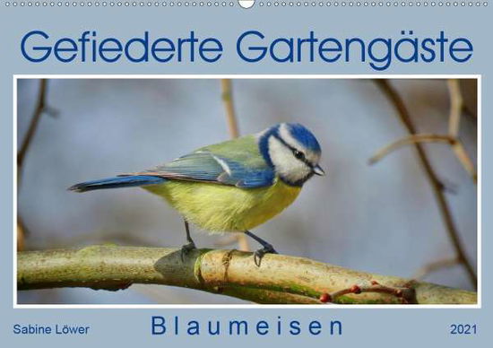 Gefiederte Gartengäste - Blaumeis - Löwer - Bøger -  - 9783672205638 - 