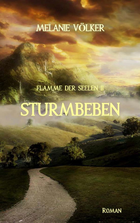 Cover for Völker · Sturmbeben (Bog)