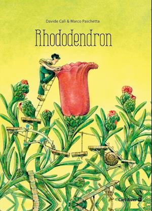 Cover for Davide Calì · Rhododendron (Book) (2024)