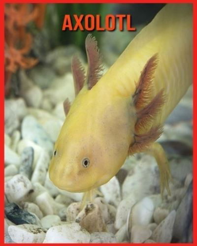 Axolotl - Alicia Moore - Books - Independently Published - 9798710983638 - February 18, 2021