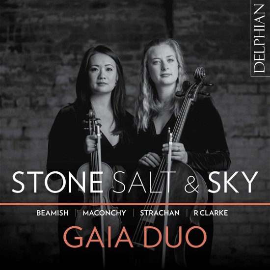 Cover for Gaia Duo · Stone, Salt &amp; Sky (CD) (2023)