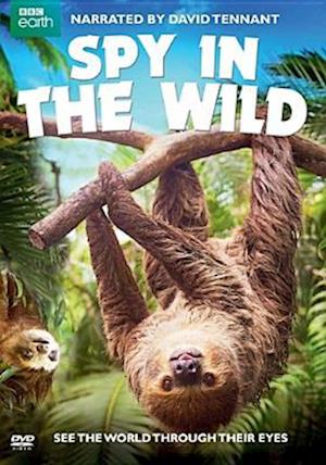 Cover for Spy in the Wild (DVD) (2017)