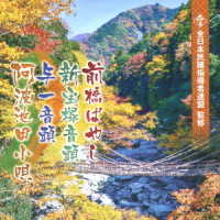 Maebashi Bayashi / Shin Takarazuka Ondo / Yoichi Ondo / Awa Ikeda Kouta - (Traditional Music) - Music - NIPPON COLUMBIA CO. - 4549767136639 - November 3, 2021