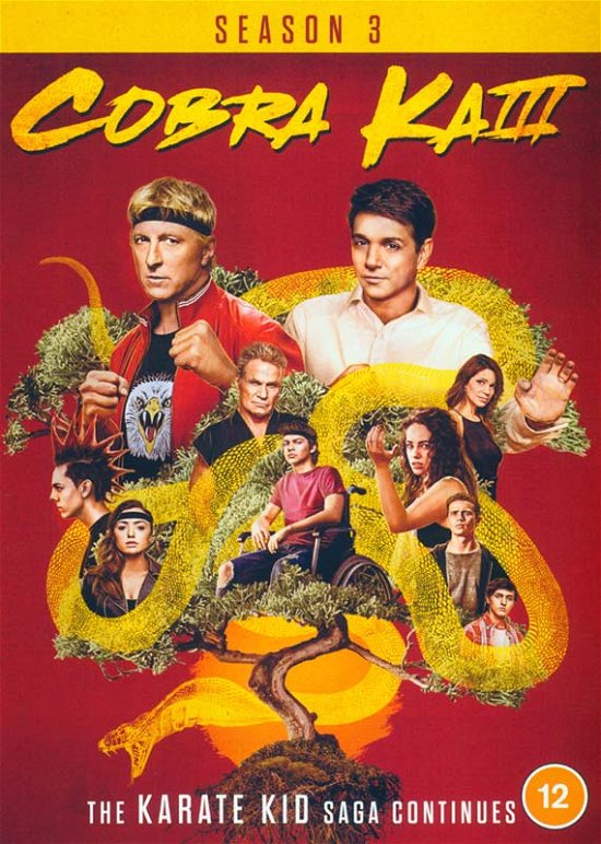 Cobra Kai Season 3 - Cobra Kai  Seasons 03 - Movies - Sony Pictures - 5035822041639 - January 17, 2022
