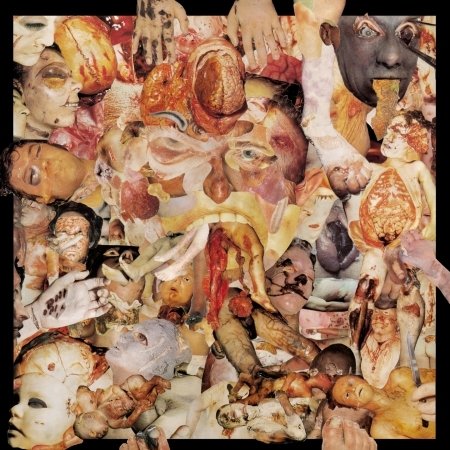 Cover for Carcass · Reek of Putrefaction (LP) (2013)