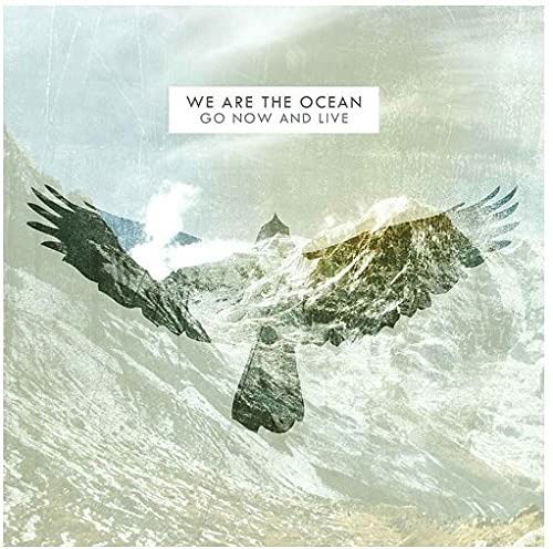 Cover for We Are The Ocean · Go Now &amp; Live (LP) (2021)