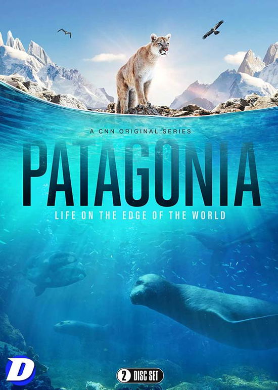 Cover for Patagonia DVD (DVD) (2022)