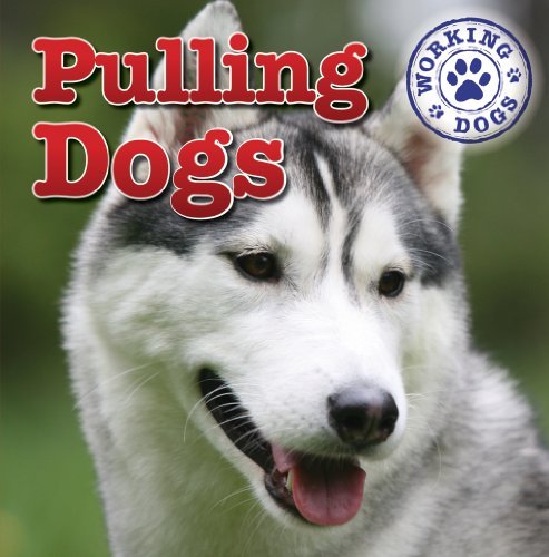 Cover for Kristen Rajczak · Pulling Dogs (Dog Mania Great Big Dogs) (Hardcover Book) (2011)