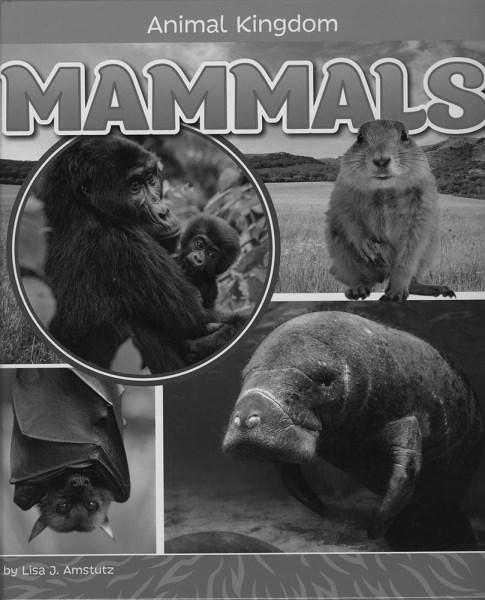 Cover for Lisa J. Amstutz · Mammals (Hardcover Book) (2017)