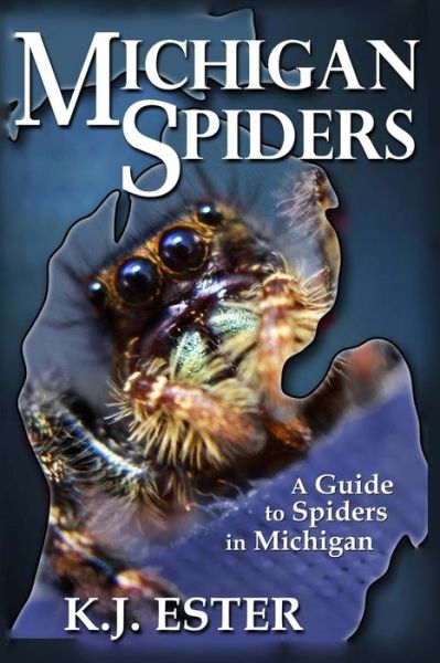 Cover for K J Ester · Michigan Spiders (Paperback Book) (2013)