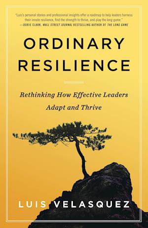 Cover for Luis Velasquez · Ordinary Resilience (Bog) (2024)