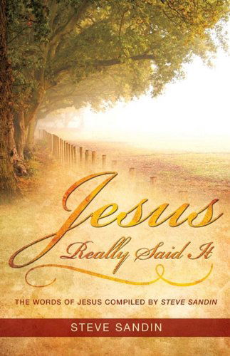 Cover for Steve Sandin · Jesus Really Said It (Paperback Book) (2010)